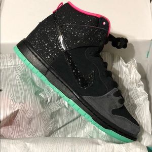 Nike Dunk Premium SB Northern Lights